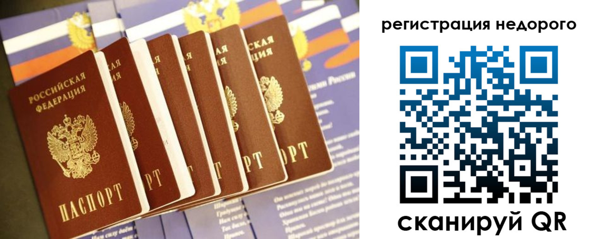 прописка гарантия в Оренбурге
